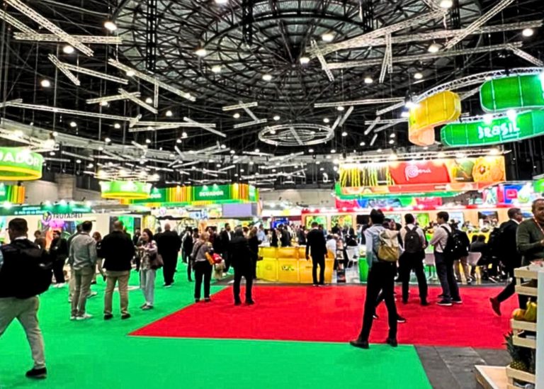 Palagiano dalla Terra delle Gravine ai Mercati Globali