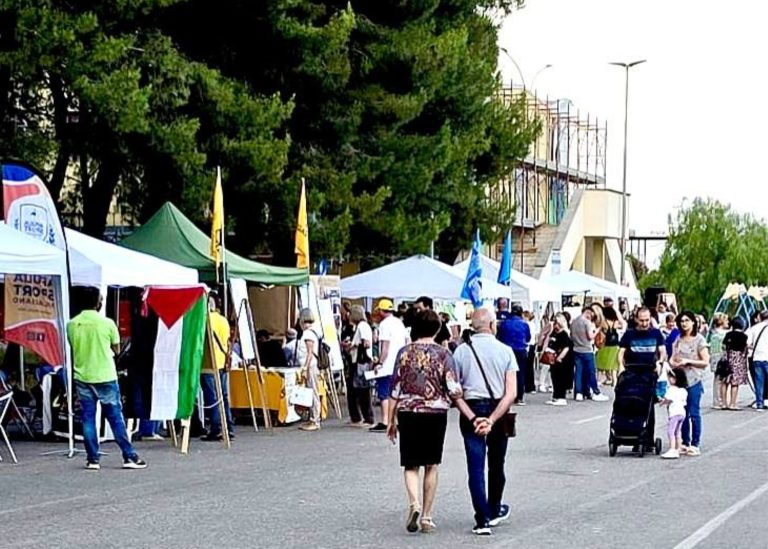 open day della consulta delle associazioni di palagiano