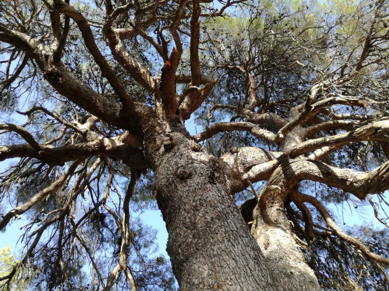 2Piano-ArtResidency_2017_foto-di-Margherita-Capodiferro